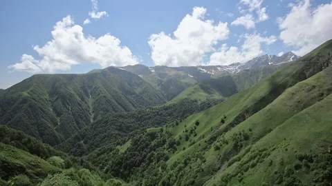 Mountain panorama with green fields, forest and blue sky Stock Footage 157983145