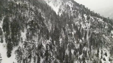 Mountain Panorama with light snowfall Video stock 148389947