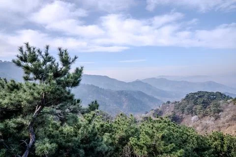 Mountain panorama with pine tree from Great Wall viewpoint Stock Photos