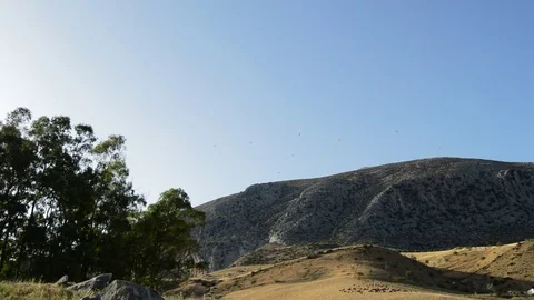 Mountain with paragliders flying practicing paragliding with blue sky Stock-Footage 77026584