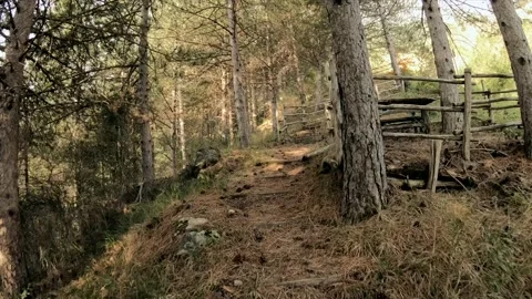 Mountain park shot in FPV Stock Footage 171213269