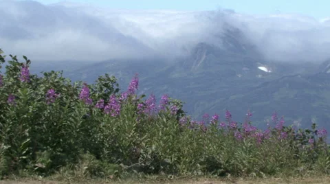 Mountain pass. Stock Footage 52490873