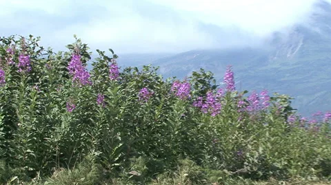 Mountain pass. Video stock 52490968