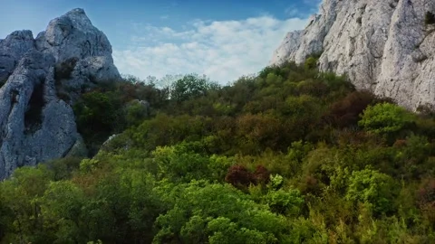 A mountain pass overgrown with greenery, an oasis in the steppe. Drone aerial Stock Footage 220998282