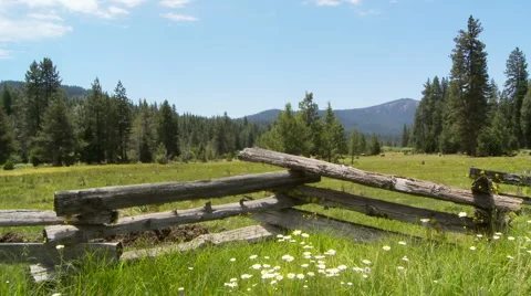 Mountain Pasture Video stock 934456