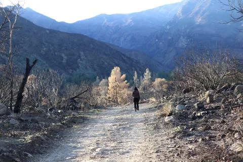 Mountain Path After the Fire Stock Photos
