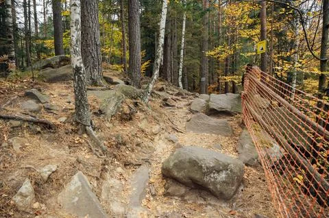 Mountain path among trees and open areas in the Carpathian Mountains. Beautiful Stock Photos