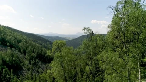Mountain path and beautiful mountain forest Stock Footage 171870213