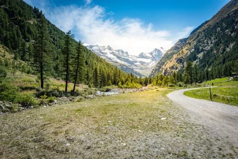 Mountain path and trees at sunset time Stock Photos