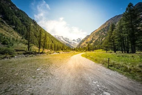 Mountain path and trees at sunset time Stock Photos