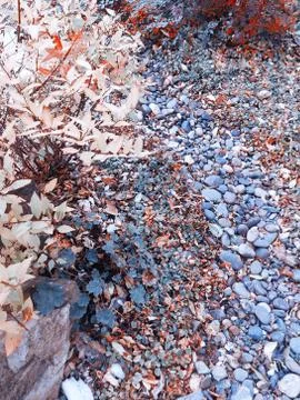 Mountain path in autumn Stock Photos