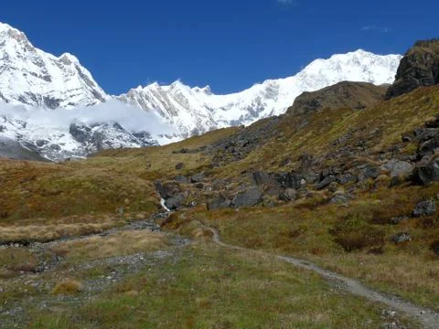 Mountain path between meadows 写真素材