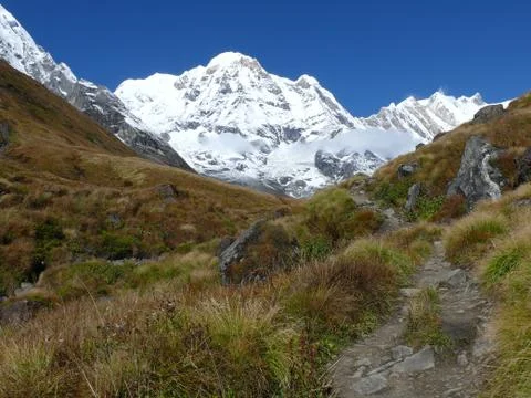 Mountain path between meadows Foto stock