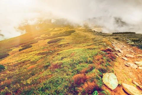Mountain path in Carpathians, Ukraine 库存照片