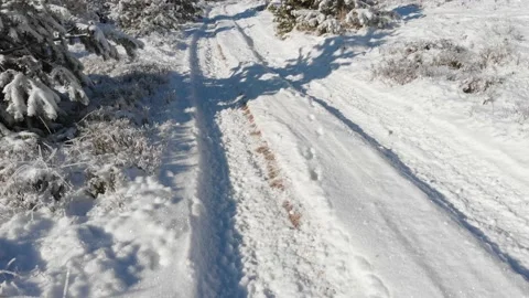 Mountain path covered with snow in winter. Beskids Mountains, Poland. Stock Footage 144458205