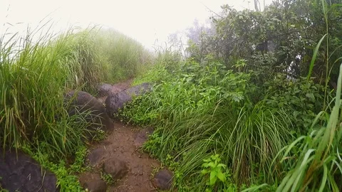 Mountain path Stock Footage 92946625