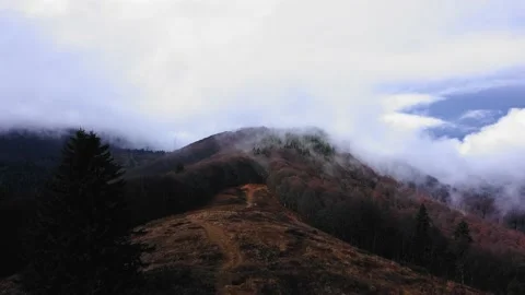 Mountain path 動画素材 167667337