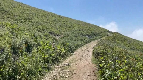 Mountain path Stock Footage 249338605