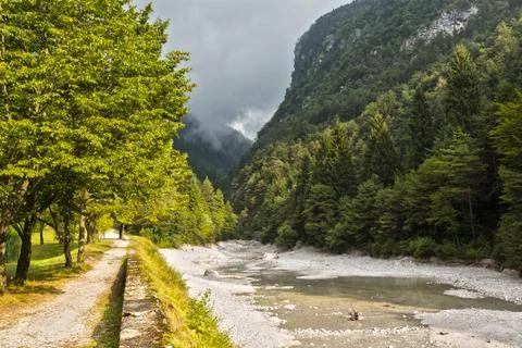 Mountain path in the forest Stock Photos