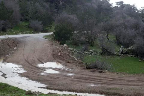 A Mountain Path with Forest View Stock Photos