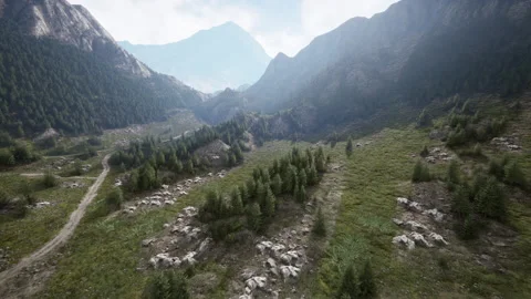 Mountain path hiking to woods pathways Stock-Footage 234497712