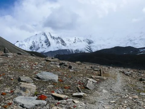 Mountain path in Himalayas Stock-Fotos