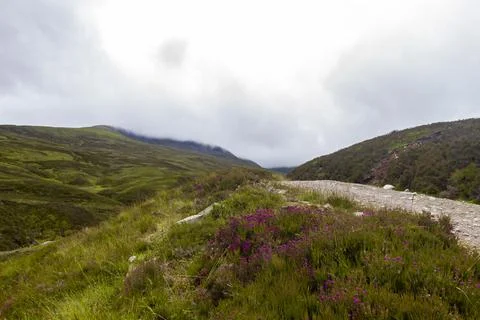 Mountain Path in the Mountains 写真素材
