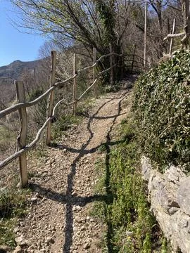 Mountain path over a cliff with a lot of vegetation. Stock Photos