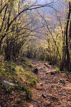 Mountain Path Stock Photos