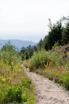 Mountain Path 스톡 사진