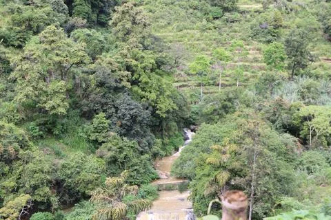 Mountain path Stock Photos