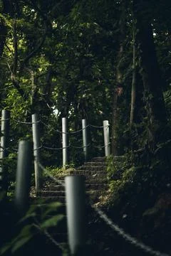 Mountain Path Stock Photos