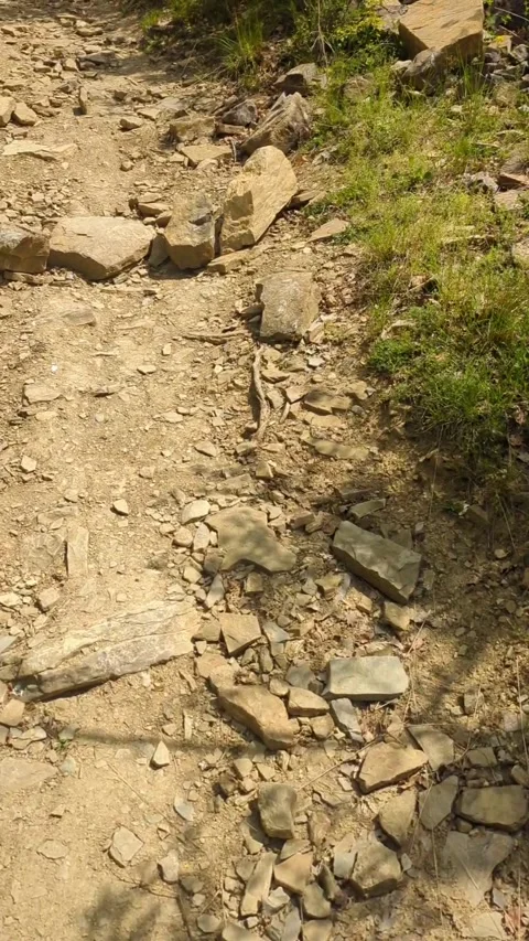 Mountain path with stones and forest around Stock Footage 239934961
