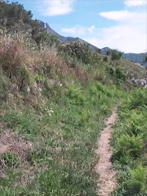 Mountain path in summer, in Italy Stock Footage