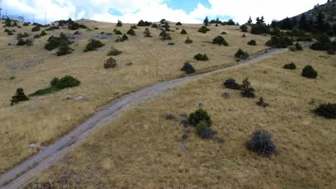 Mountain path through fir forest leading toward a telecom station in Greece. Stock Footage 325388312