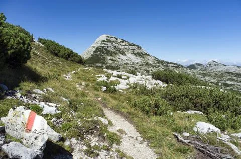 Mountain path towards the Cima 12, Plateau of Asiago, Vicenza, Italy Stock Photos