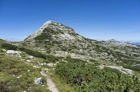 Mountain path towards the Cima 12, Plateau of Asiago, Vicenza, Italy Stock Photos