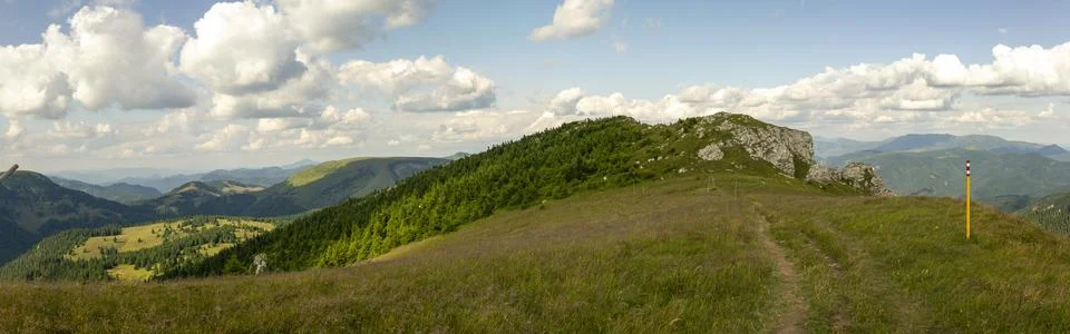 Mountain path winding through lush green meadows and forests under bright s.. 库存照片