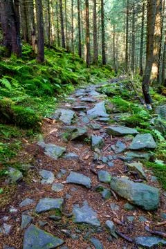 Mountain pathway in Carpathians Stock Photos