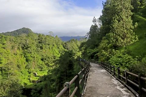 Mountain Pathway Through Lush Greenery Stock Photos