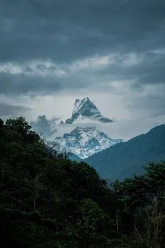 Mountain peak with clouded background and forest foreground Stock Photos