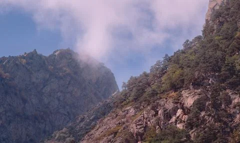 Mountain Peak in Clouds with Rocky Cliffs and Pine Forest Landscape Фото