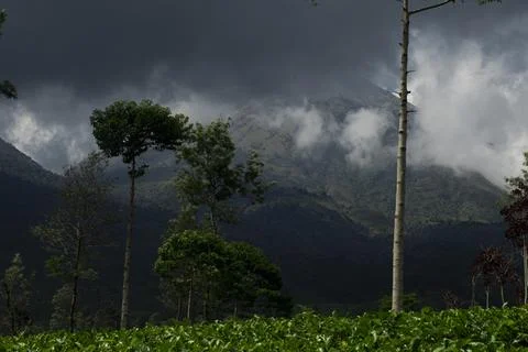 Mountain Peak Covered by Dark Clouds and Tall Trees Stock Photos