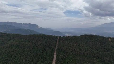 A mountain peak covered by pine tree forest with fire line path. Stock Footage 289581296