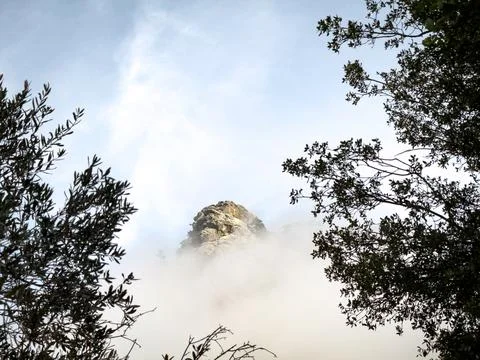 Mountain peak framed by trees emerging through low morning fog Stock Photos