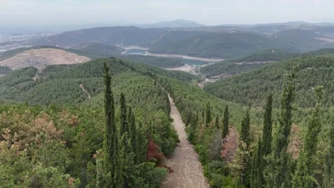 Mountain peak inside the natural road. Video stock 289579233