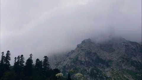 Mountain peak landscape and clouds floating in sky over green forest timelapse Stock Footage 94236779