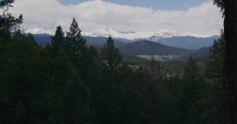 Mountain Peak with pine trees slow motion Stock Footage 265177746