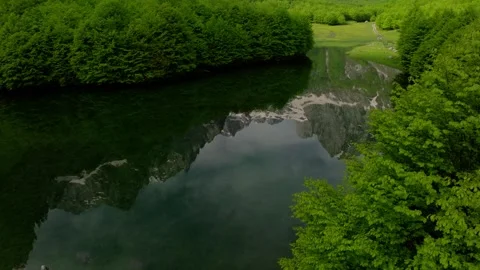 Mountain peak reflection in the pond water of green forest Stock Footage 250000532