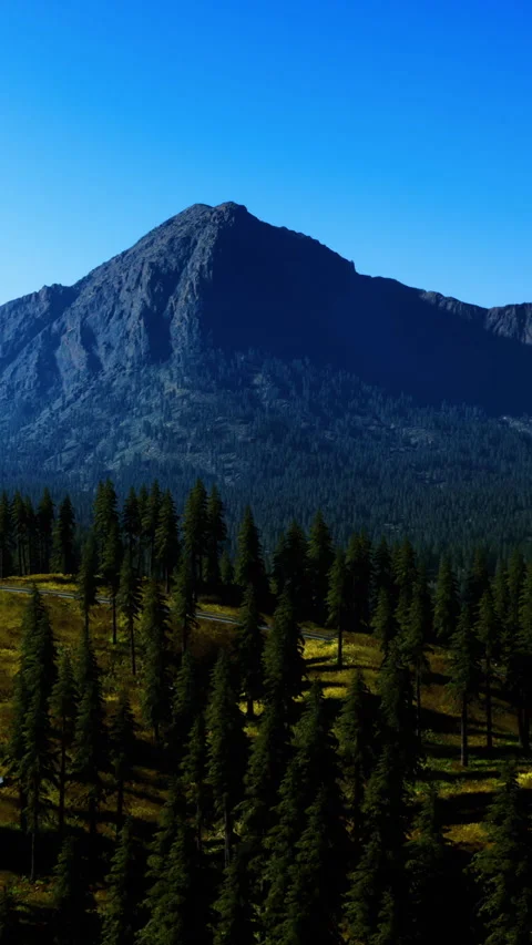 Mountain peak rises above forest under clear blue sky in daytime Video stock 334885497
